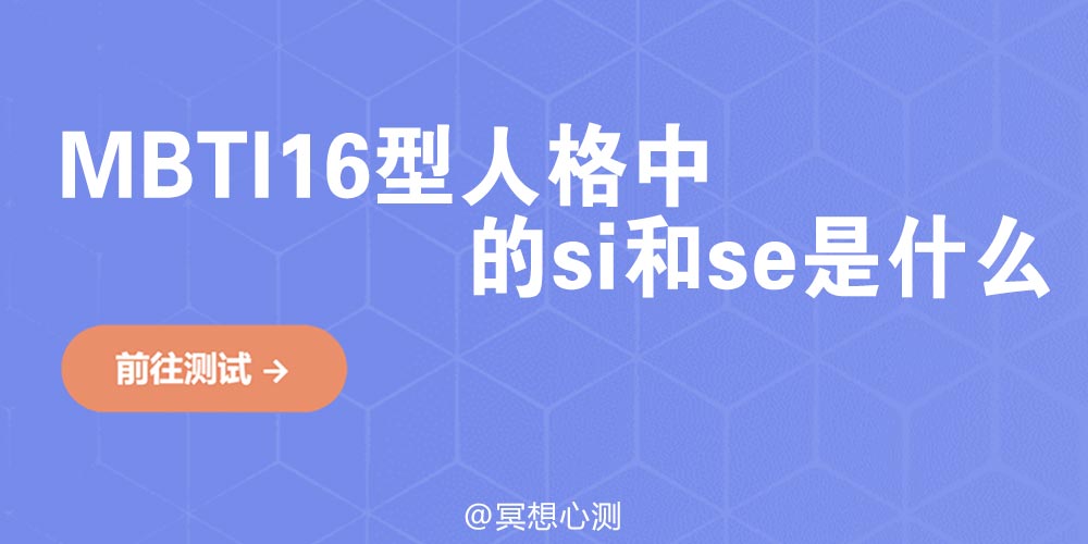 MBTI16型人格中的si和se是什么