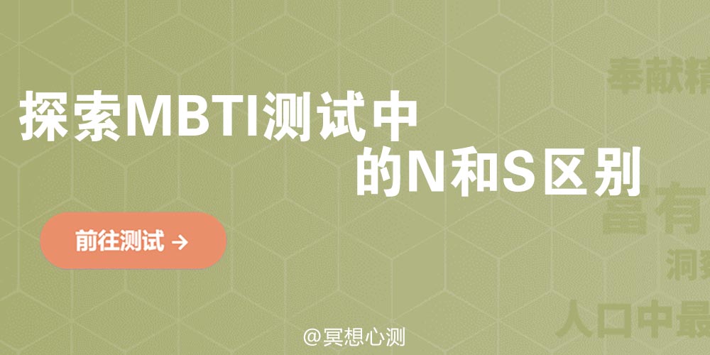 探索MBTI测试中的N和S区别